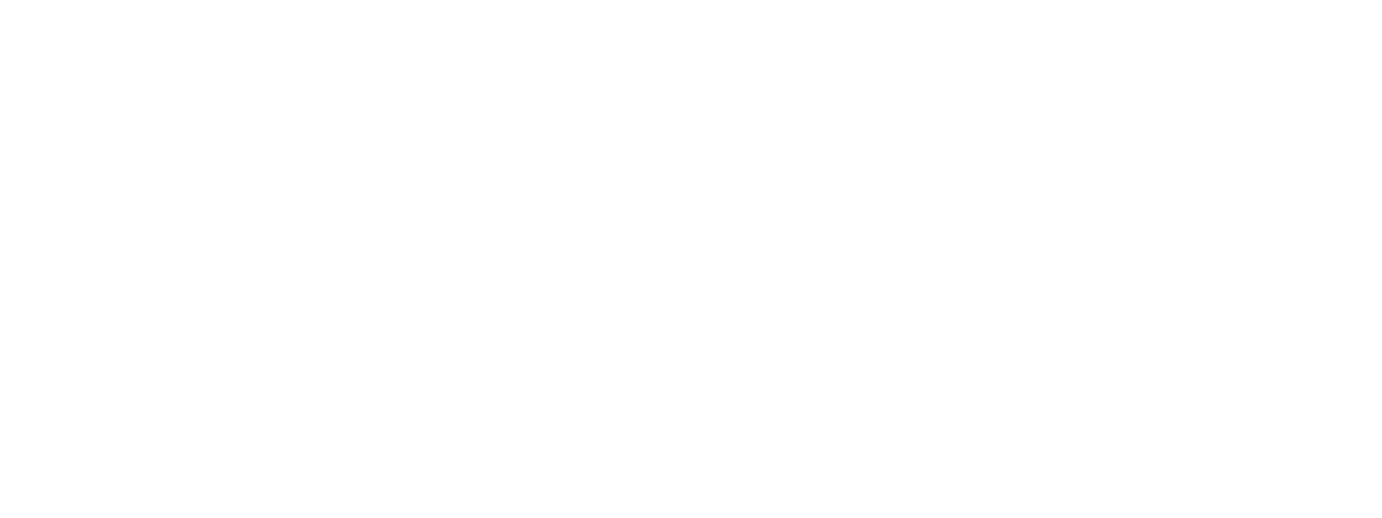 Logo Sintagma Group bianco
